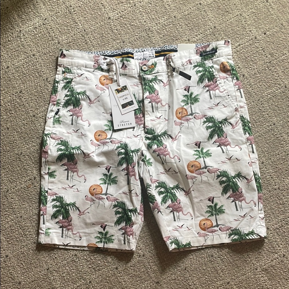 Cactus Man Flamingo Tropical Vibe Print Shorts